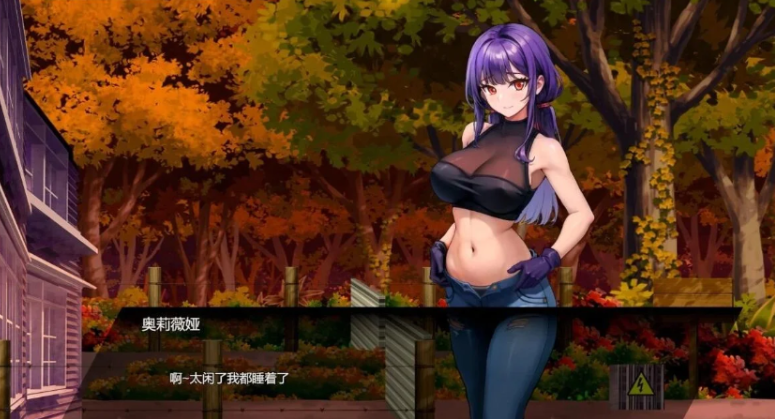 D-Zone V1.02 STEAM官中版-方明次元